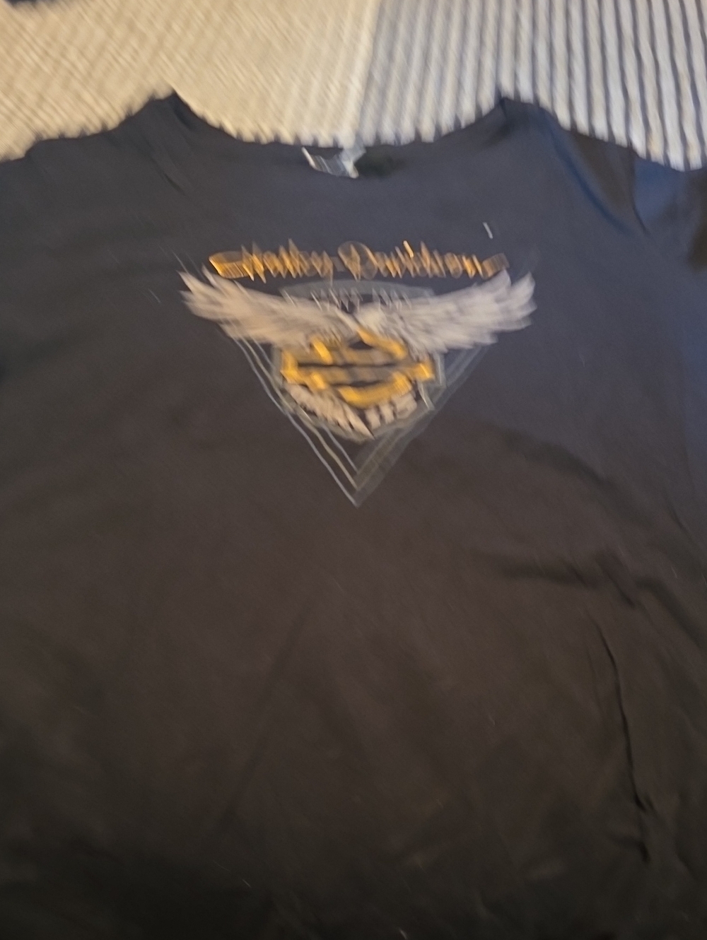 Harley-Davidson Black Tee with Gold and White Winged Emblem